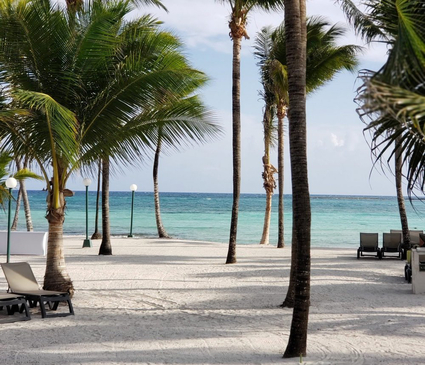 Slider image (5) Ibogaine Cancun